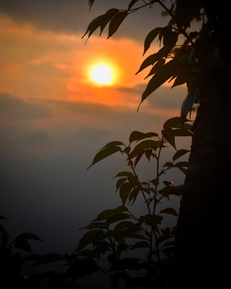 Instagram post from mysticmeditationmusic. This post is in position 19.